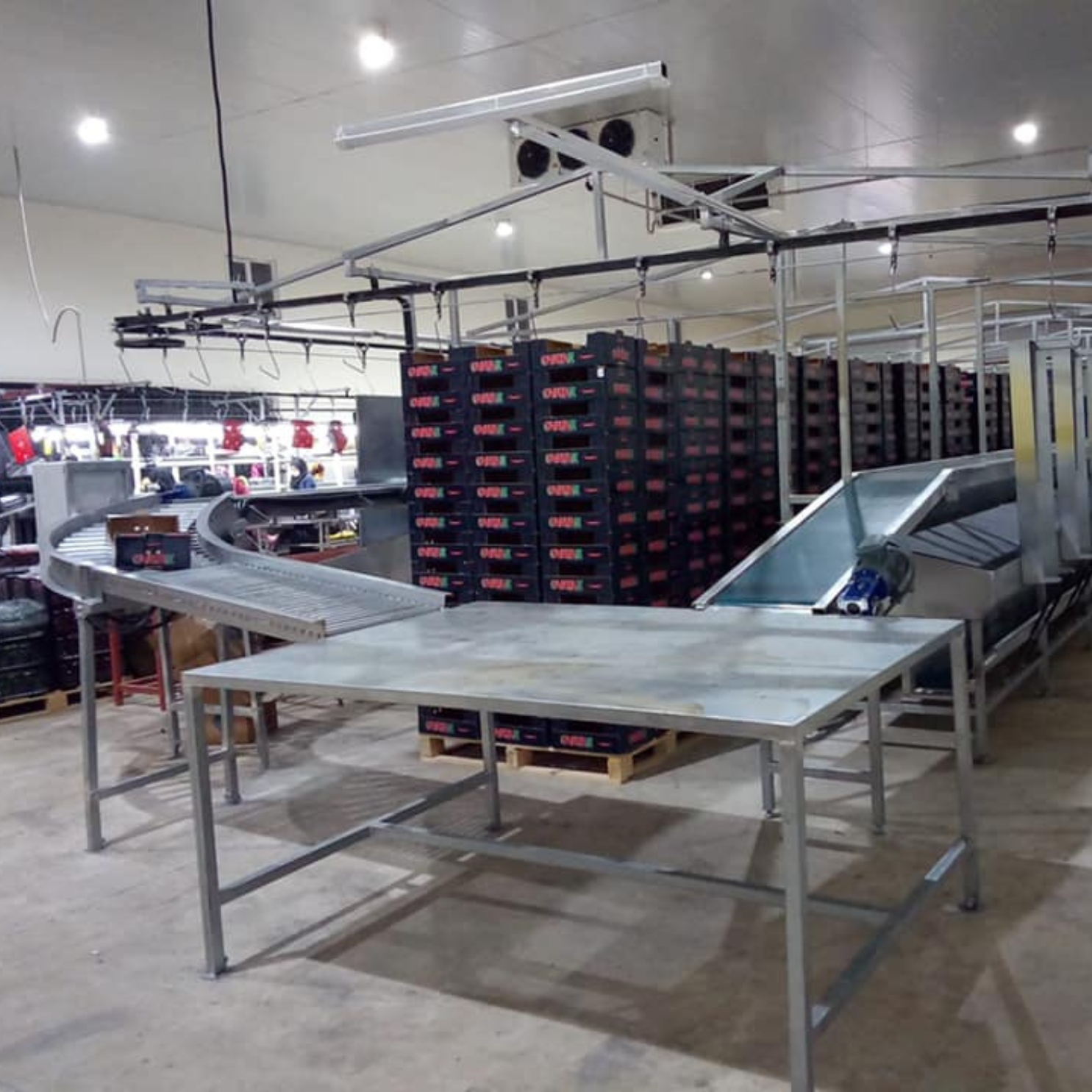 Three-Layer Fruit and Vegetable Processing Belt